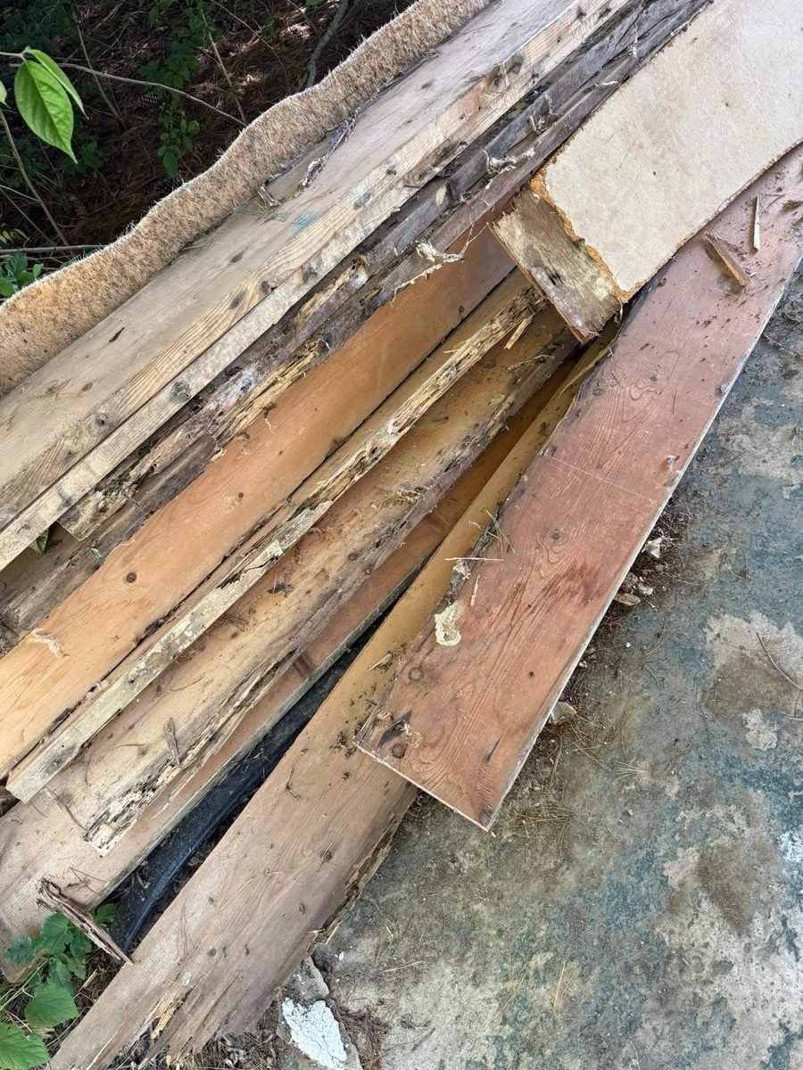 Lumber hollowed out by termite damage